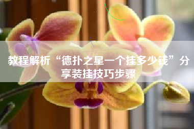 教程解析“德扑之星一个挂多少钱	”分享装挂技巧步骤