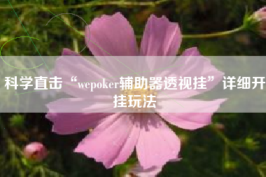 科学直击“wepoker辅助器透视挂	”详细开挂玩法