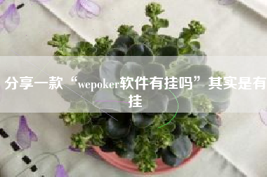 分享一款“wepoker软件有挂吗”其实是有挂