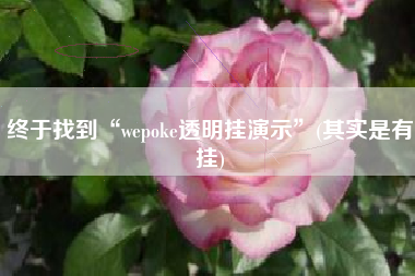 终于找到“wepoke透明挂演示”(其实是有挂)