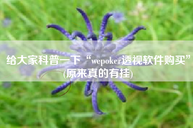 给大家科普一下“wepoker透视软件购买”(原来真的有挂)