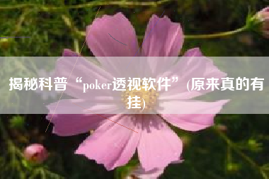 揭秘科普“poker透视软件”(原来真的有挂)