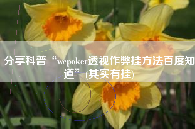 分享科普“wepoker透视作弊挂方法百度知道	”(其实有挂)