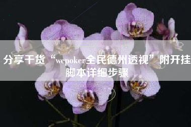 分享干货“wepoker全民德州透视”附开挂脚本详细步骤