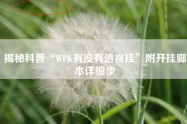 揭秘科普“WPK有没有透视挂”附开挂脚本详细步