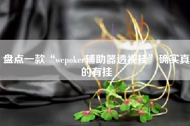 盘点一款“wepoker辅助器透视挂”确实真的有挂
