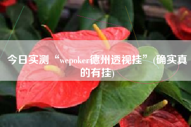今日实测“wepoker德州透视挂”(确实真的有挂)