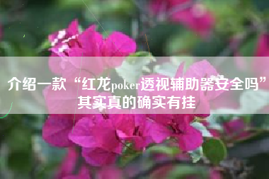 介绍一款“红龙poker透视辅助器安全吗”其实真的确实有挂