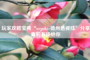 玩家攻略宝典“wepoker德州透视挂”分享真的有挂给你