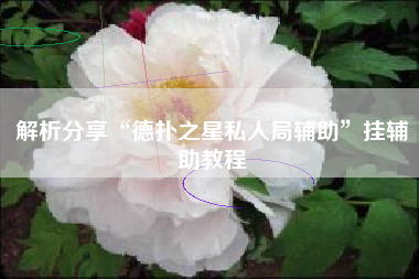 解析分享“德扑之星私人局辅助”挂辅助教程