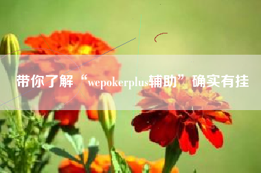 带你了解“wepokerplus辅助	”确实有挂