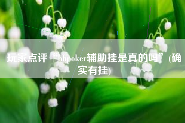 玩家点评“hhpoker辅助挂是真的吗”(确实有挂)