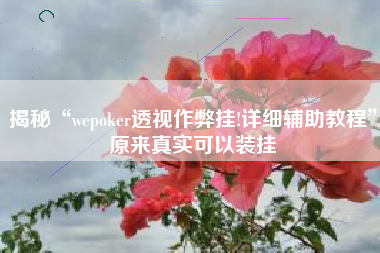 揭秘“wepoker透视作弊挂!详细辅助教程”原来真实可以装挂