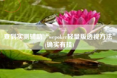 查到实测辅助“wepoker轻量版透视方法”(确实有挂)