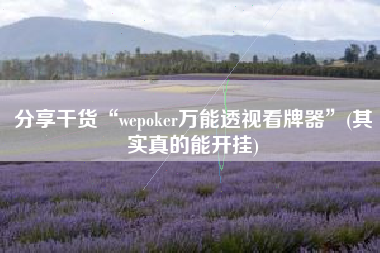 分享干货“wepoker万能透视看牌器”(其实真的能开挂)