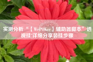 实测分析“【WePOKer】辅助器脚本”透视挂!详细分享装挂步骤