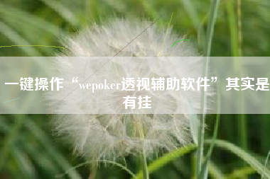 一键操作“wepoker透视辅助软件”其实是有挂