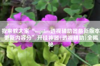 我来教大家“wepoker透视辅助器最新版本更新内容分”开挂神器{透视辅助}全揭秘