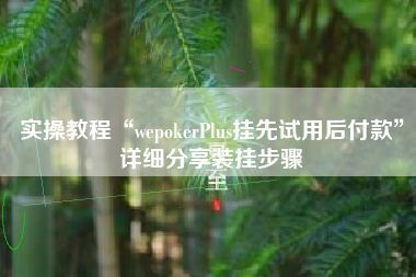 实操教程“wepokerPlus挂先试用后付款”详细分享装挂步骤