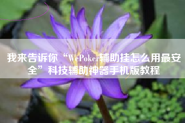 我来告诉你“WePoker辅助挂怎么用最安全”科技辅助神器手机版教程