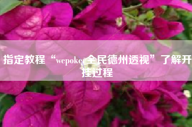 指定教程“wepoker全民德州透视”了解开挂过程 指定教程“wepoker全民德州透视”了解开挂过程
