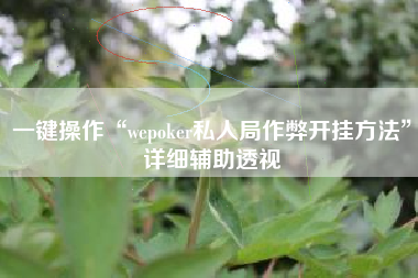一键操作“wepoker私人局作弊开挂方法”详细辅助透视
