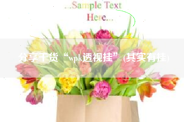 分享干货“wpk透视挂”(其实有挂)