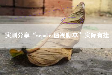 实测分享“wepoker透视脚本”实际有挂
