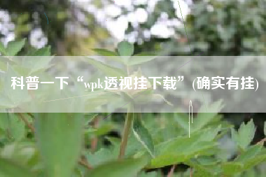 科普一下“wpk透视挂下载”(确实有挂)