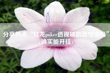 分享热点“红龙poker透视辅助器安全吗	”(确实能开挂)