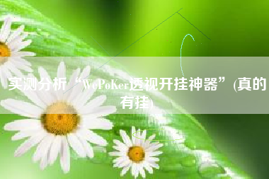 实测分析“WePoKer透视开挂神器	”(真的有挂)