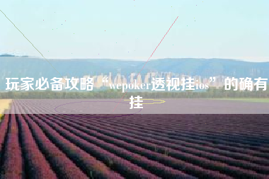 玩家必备攻略“wepoker透视挂ios”的确有挂