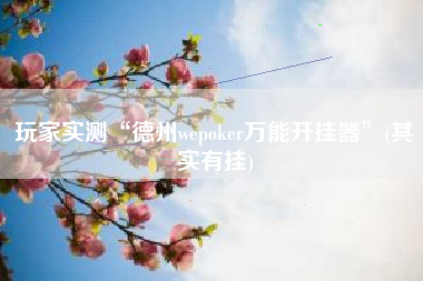 玩家实测“德州wepoker万能开挂器	”(其实有挂)