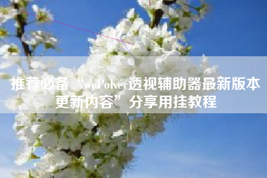 推荐必备“wePoKer透视辅助器最新版本更新内容”分享用挂教程