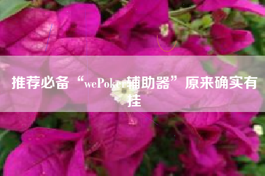 推荐必备“wePoker辅助器”原来确实有挂