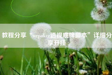 教程分享“wepoker透视底牌脚本”详细分享开挂