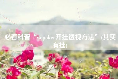 必看科普“wepoker开挂透视方法”(其实有挂)