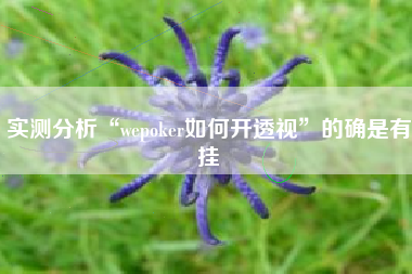 实测分析“wepoker如何开透视”的确是有挂