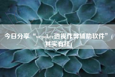 今日分享“wepoker透视作弊辅助软件”(其实有挂)