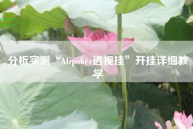 分析实测“AGpoker透视挂”开挂详细教学