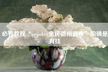 必看教程“wepoker全民德州透视	”的确是有挂