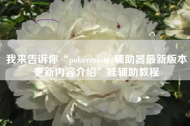 我来告诉你“pokermaster辅助器最新版本更新内容介绍”挂辅助教程