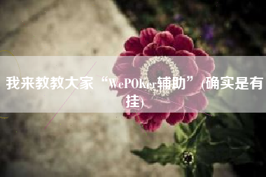 我来教教大家“WePOKer辅助”(确实是有挂)