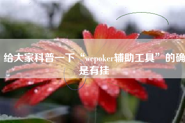 给大家科普一下“wepoker辅助工具”的确是有挂