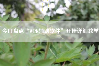 今日盘点“WPK辅助软件”开挂详细教学