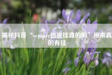 揭秘科普“wepoker透视挂真的吗	”原来真的有挂