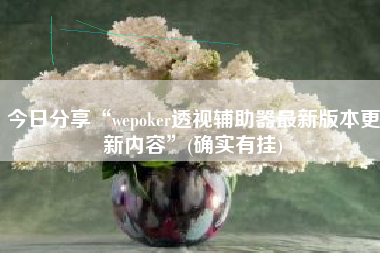 今日分享“wepoker透视辅助器最新版本更新内容”(确实有挂)