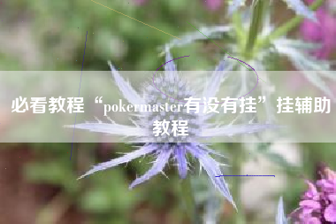 必看教程“pokermaster有没有挂	”挂辅助教程
