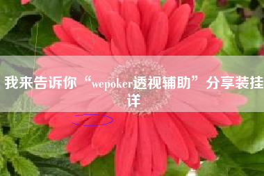 我来告诉你“wepoker透视辅助”分享装挂详