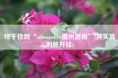 终于找到“sohoopoker德州透视”(其实真的能开挂)